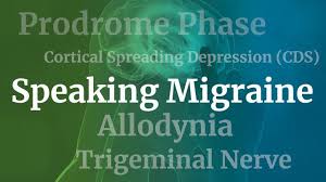 Martin is one of the leading world experts in migraine triggers like low barometric pressure, stress, neck pain, and food. Speaking Migraine A Glossary Of Common Terms Everyday Health