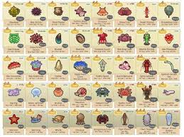 In the northern hemisphere, 24 sea creatures can be caught in july, 3 of which are new in july and 1 will leave after july. I Made A Cheat Sheet Of All The New Sea Creatures Info Spawn Month Times Price Shadow Size Movement Thought I D Share Animalcrossing