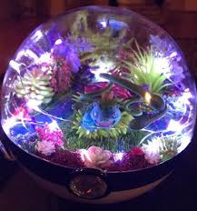 Venusaur Large Pokemon Pokeball Terrarium Etsy Pokemon Terrarium Pokemon Diy Pokemon Craft