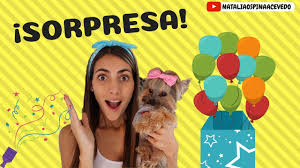 Desayunos sorpresa en bogotá, regala un rico desayuno para todo tipo de ocasión sorprende a tus seres queridos ❤, contamos con desayunos a domicilio. Esta Es La Sorpresa Que Les Quiere Contar Mellow Youtube