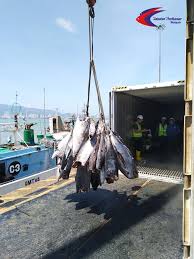 Jabatan kesihatan negeri pulau pinang. Pendaratan Ikan Pejabat Perikanan Negeri Pulau Pinang Facebook