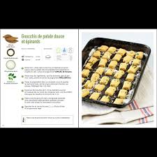 Dans ce projet, j'espère récolter votre soutien afin de développer toujours de nouvelles recettes pour vous aider au quotidien et un jour je l'espère, publier un livre papier 🙂. Livre 70 Recettes Vegetariennes Avec Le Cook Expert