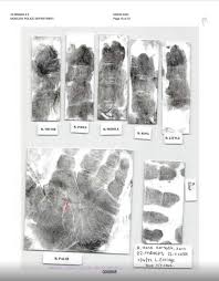 Investigators believe that when Xana Kernodle heard commotion, her heading up the stairs to check on her roommates distracted convicted killer Bryan Kohberger, causing him to leave behind the knife sheath containing