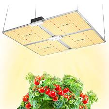 We did not find results for: Top 10 Best Led Light For 4x4 Grow Tent Reviews