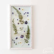 A tutorial on how to display pressed flowers in a floating frame, using the traditional book pressing method. Pressed Flower Art How To Press Flowers Crafts By Amanda