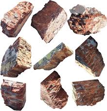 Image result for Light Sandstone 1986 Fleet