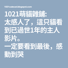 1021萌貓雜鋪 太感人了 這只貓看到已過世1年的主人影片 一定要看到最後 感動到哭 boarding pass mobile boarding pass