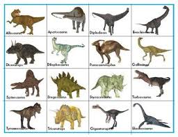 Bilder zum ausmalen unsere dinos brauchen farbe saurierpark. 49 Dinos Namen Bilder Ideen Dinosaurier Malvorlage Dinosaurier Dinosaurier Basteln