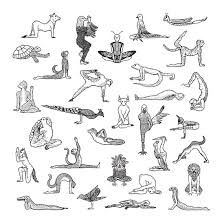 This Design Is Part Of My Yoga Animals Series Inspired By The Yoga Poses Named After Animals They Remind Us Of The Yoga Poses Names Animal Yoga Advanced Yoga