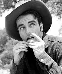 80 Montgomery Clift ideas