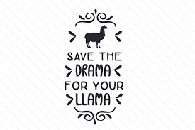 Download Save The Drama For Your Llama Svg Cut File By Creative Fabrica Crafts Creative Fabrica SVG Cut Files