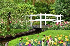 Lisse, noordwijk and keukenhof are about 30 km southwest from amsterdam and a must do, if you love flower fields. Windmuhlen Keukenhof Garten Und Tulip Fields Tour Von Amsterdam 2021 Tiefpreisgarantie