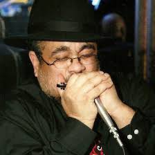 What's the format for a blues concert at the Logan Center?