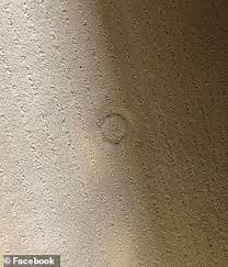 If you have any other problems with your carpet that you want to fix, use a carpet repair kitto take care of them. Mother S Trick For Removing Furniture Dents From Carpet Sends The Internet Into Meltdown Daily Mail Online