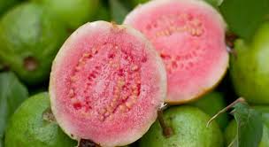 Zoe samuel 6 min quiz sewing is one of those skills that is deemed to be very. What Fruit Is Pictured Below Trivia Questions Quizzclub