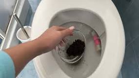Fondi di caffè, buttali nel water: quel che accade di notte è ...