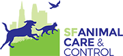 I came from the same place as champ, i'm quite new to the lap centre so a little nervous at the moment. Cats For Adoption San Francisco Animal Care And Control San Francisco Animal Care And Control
