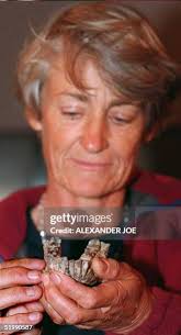 398 Kenya Fossil Stock Photos, High-Res Pictures, and Images