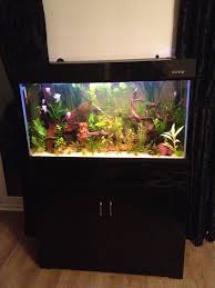 Our Customer S Beautiful Boyu Fish Tank Http Www Allpondsolutions Co Uk Aquarium 1 Fish Tanks Cabin Fish Tank Price Fish Tank Cabinets Aquarium Fish Tank