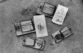 Bildergebnis für Sonia Andrade