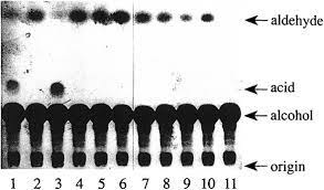 What organelle breaks down and recycles worn out cells? Isolation Of Animal Cell Mutants Defective In Long Chain Fatty Aldehyde Dehydrogenase Journal Of Biological Chemistry