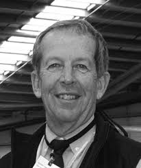 POLL DORSET SHEEP IN AUSTRALIA