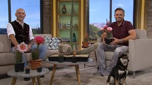 We did not find results for: Ob08n3gaq0o Cm