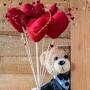 Profile Picture of Tara Tarango (taratarango) - Profile - Pintereston Google