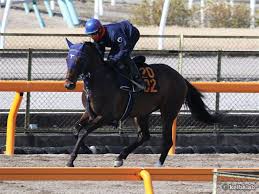 2021年1月30日(土) 開場 12:00 (jst)開始 @ 非公開 lion's break: Dt3az8ppxvjrzm