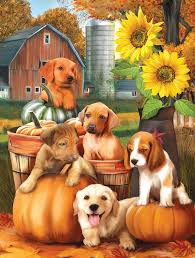 Autumn Puppies 300pc Large Format Jigsaw Puzzle By Sunsout Puppy Art Dog Art Cute Animals