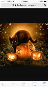 Apple Watch Face Halloween Cat Cat Halloween Apple Watch Custom Faces Apple Watch Faces Apple Watch Wallpaper