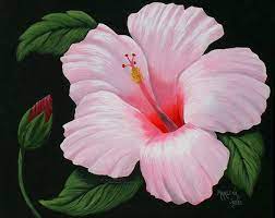 Light Pink Hibiscus With Bud 16x20 Original Etsy Flower Painting Canvas Flower Painting Floral Paintings Acrylic
