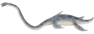 Image result for Elasmosaurus