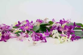 Check spelling or type a new query. Alii Flowers Hawaiian Flowers Fresh Leis Gift Baskets