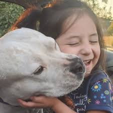 Fundraiser by Shanee Espinoza : Urgent Help for Syia's Medical Treatment