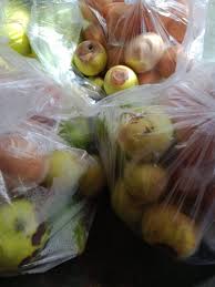 Gambar buah apel busuk koleksi gambar hd. Di Jatiagung Kpm Keluhkan Apel Busuk Belum Diganti Lampung Raya News