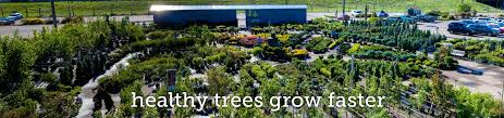 Calgary S Healthiest Hardy Trees Shrubs For Sale At Greengate