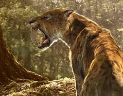 Ilregnodeifossili Smilodon Conosciamo La Tigre Dai Denti A Sciabola Fossili Di Dinosauro Animali Fossili