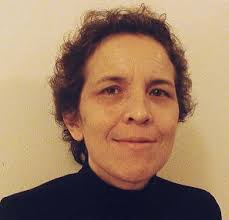 Precision Teaching Hub and Wiki