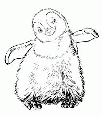 Cartoon penguin drawing at getdrawings. Baby Penguin Line Drawing Page 1 Line 17qq Com