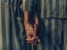 The Tattooist of Auschwitz | Rotten Tomatoes