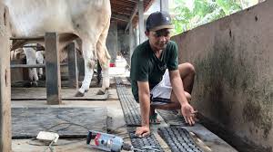 Check spelling or type a new query. Setia Farm Youtube Channel Analytics And Report Desarrollado Por Noxinfluencer Mobile