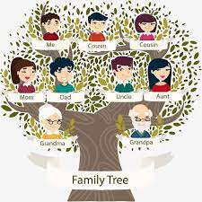 شجرة العائلة family tree graphic family tree tree graphic