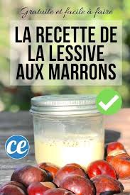 Vous Cherchez Une Recette De Lessive Maison Efficace Naturelle Et Economique Sans Savon De Marseille Voici Ma Lessive Super Efficace Avec Des Marrons D In In 2020 Bio