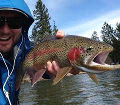 With more than 3000 fish per mile, the river is an angler's dream. Flathead River Fly Fishing