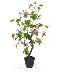 Choosing a heartfelt floral tribute for a loved one can be difficult at an emotional time. Artificial Passion Flower 90 Cm Pink Maxifleur Artificial Plants
