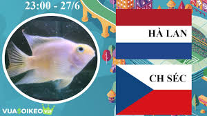 Nhiều người sẽ nhớ lại trận đấu giữa 2 đội tuyển này ở euro 2004, nơi bóng đá tấn công đẹp mắt được trình diễn một cách hết mình. Ha4376atpx8orm
