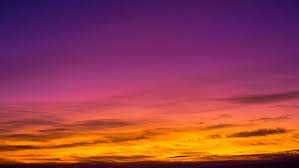 Maybe you would like to learn more about one of these? Blue Purple Sunset Sky Novocom Top