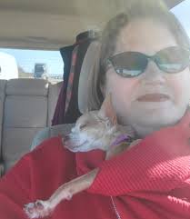 Chihuahua found dead near Pony Club Barellan Point