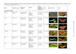 Image result for Plicosepalus amplexicaulis